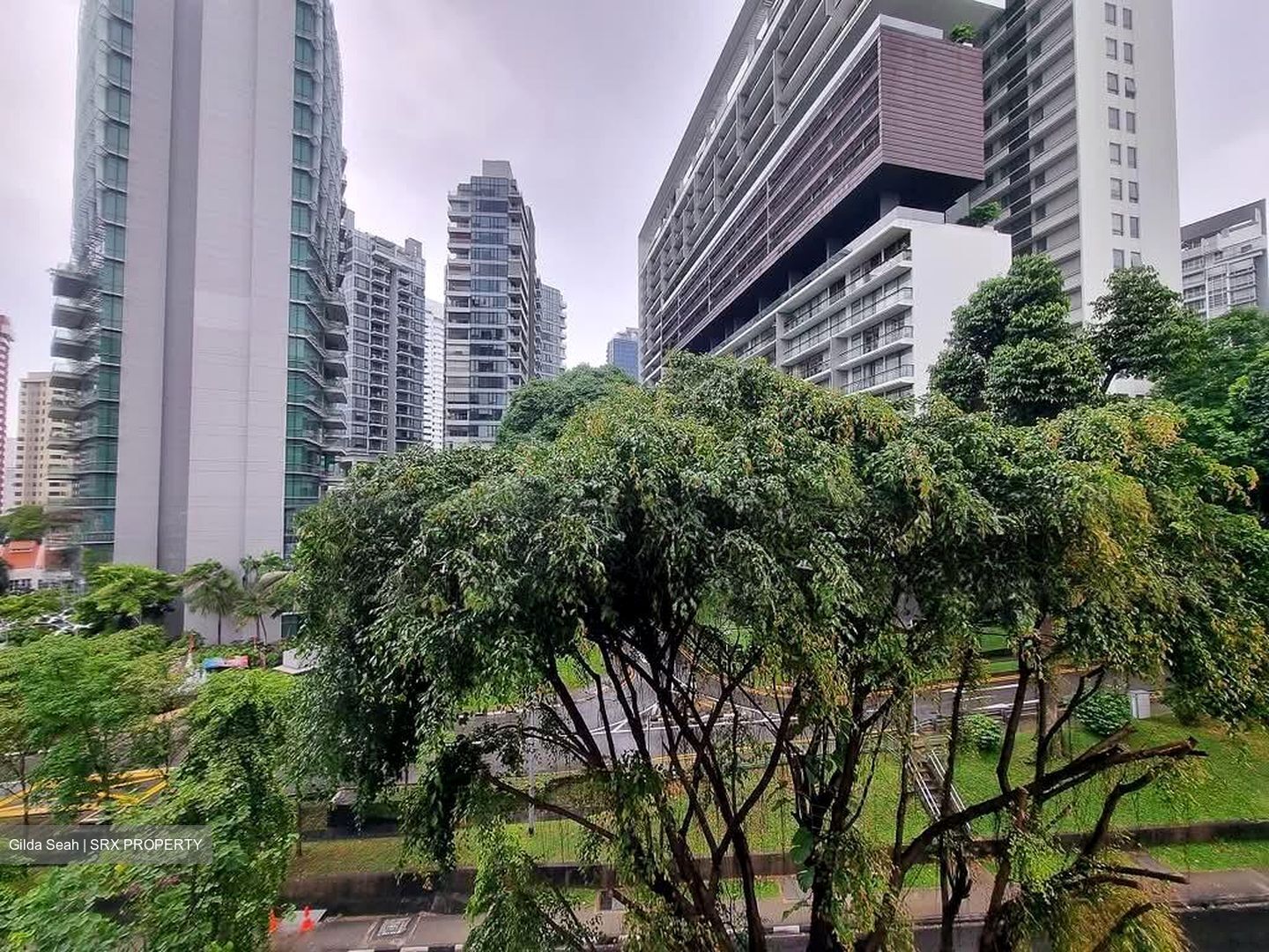 The Cairnhill (D9), Condominium #580753701